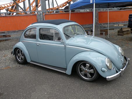 slt blue bug